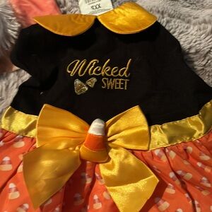 Variety of xxsmall girl dog clothes